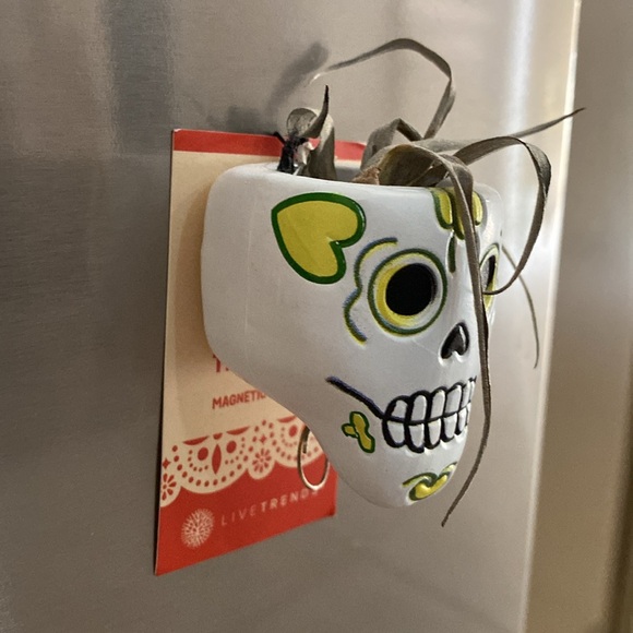 🌼 NWT Trader Joe’s air plant planter lazy bones planter - Picture 2 of 9